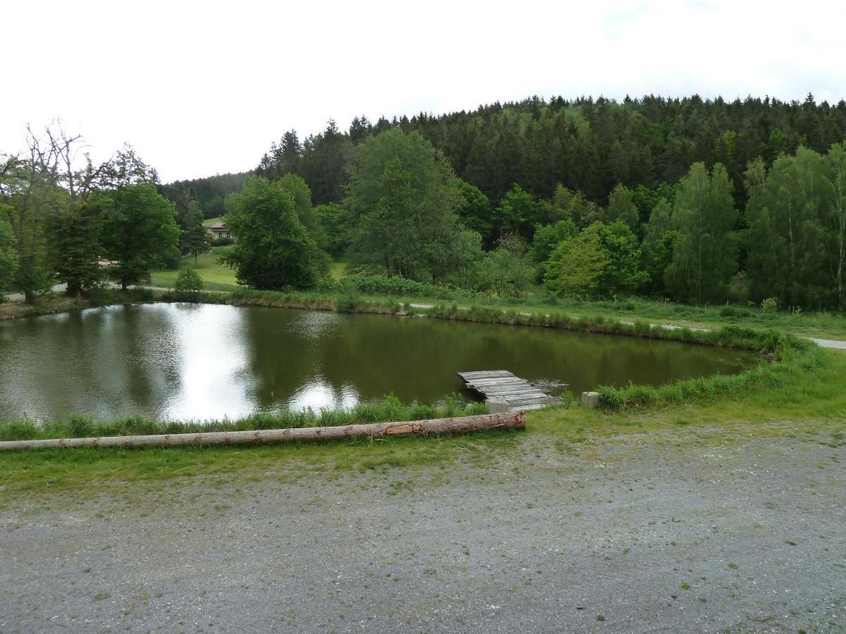 Ferienwohnungen am Büchlhof im Oberpfälzer Seenland Neunburg vorm Wald Exterior foto